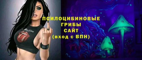 амф Заволжск