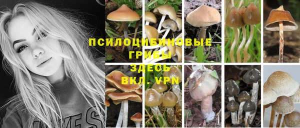 jwh Заволжье
