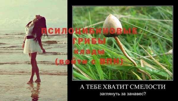 амф Заволжск